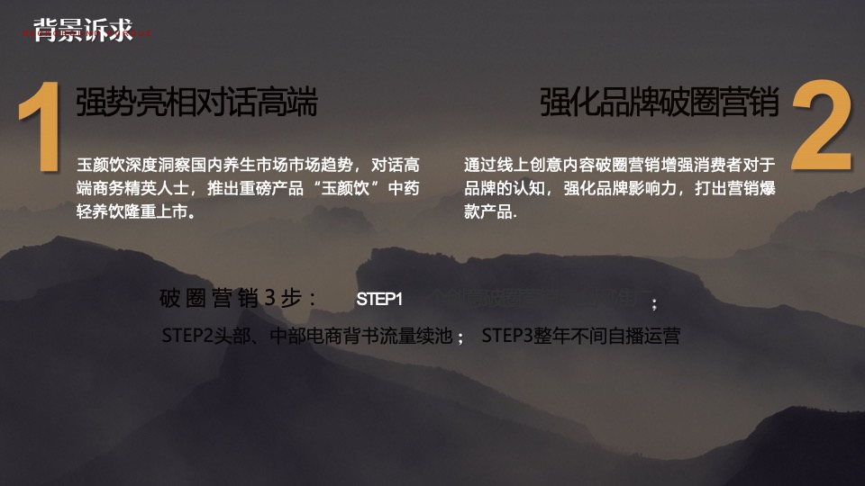 保健饮品牌营销推广全案