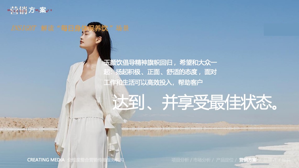 保健饮品牌营销推广全案