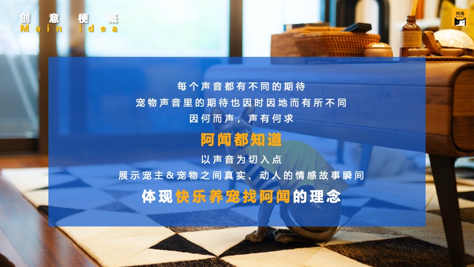 宠物APP品牌TVC创意方案