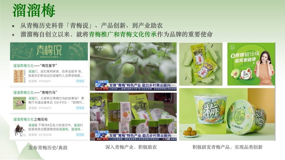 统一青梅绿茶国风营销传播整合方案