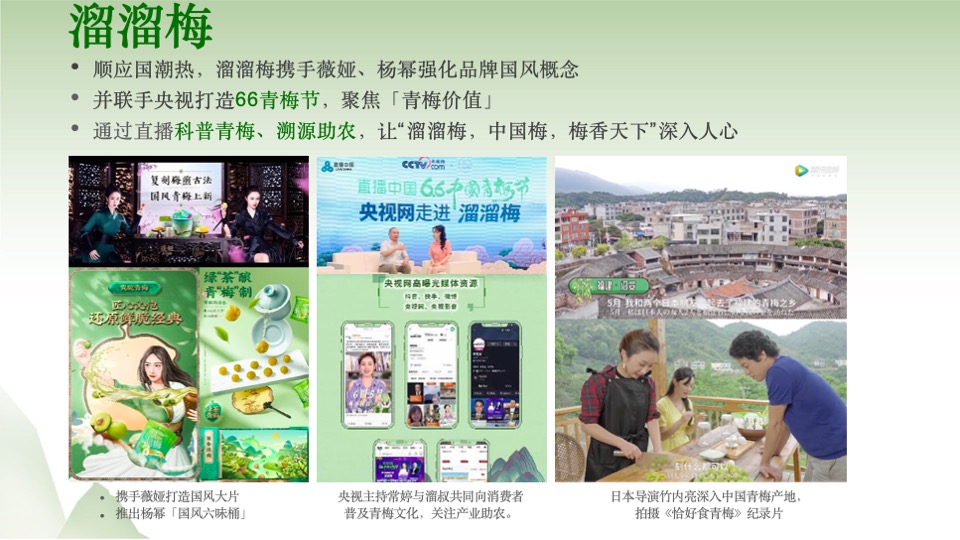 统一青梅绿茶国风营销传播整合方案