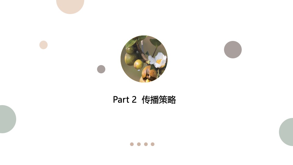 橄榄油品牌种草推广计划方案