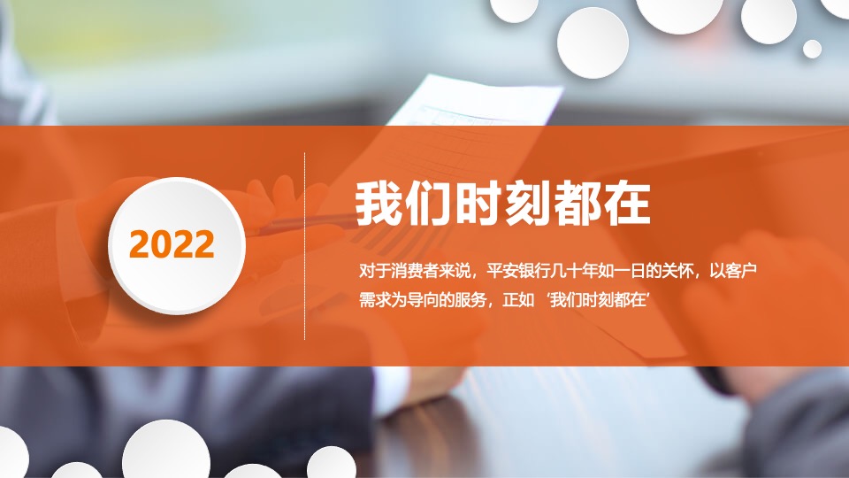 中国平安银行金融VIP客户营销方案