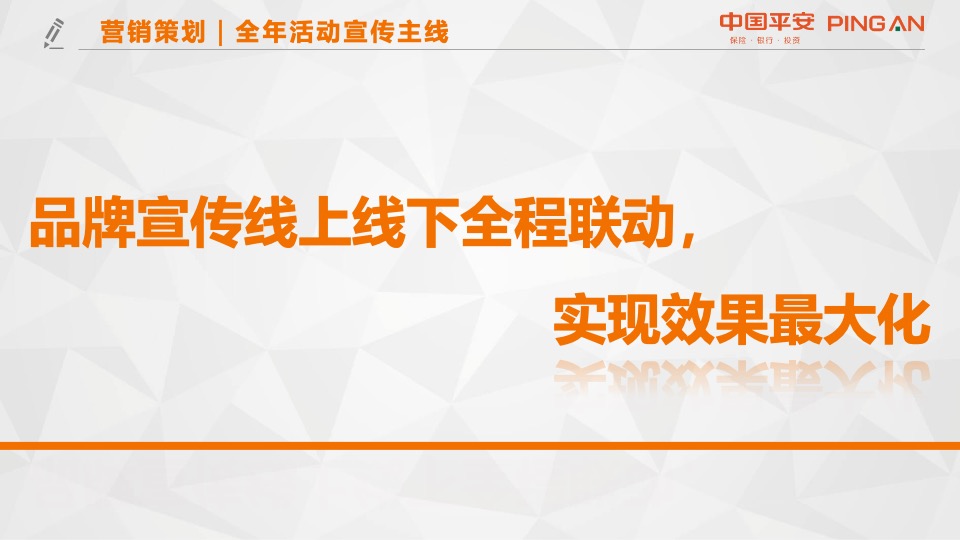 中国平安银行金融VIP客户营销方案