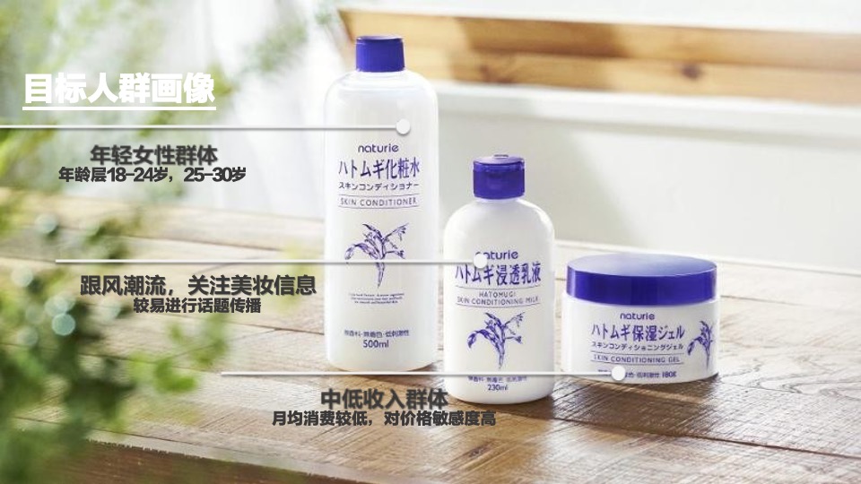 护肤薏仁水&啫喱自媒体生态建立规划方案