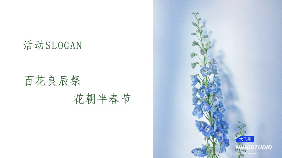 文旅景区春季花朝节（百花良辰祭·花朝半春节主题）活动策划方案