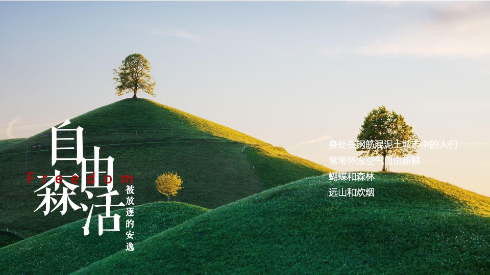 生态酒店签约仪式（城市无界·归心自然主题）活动策划方案