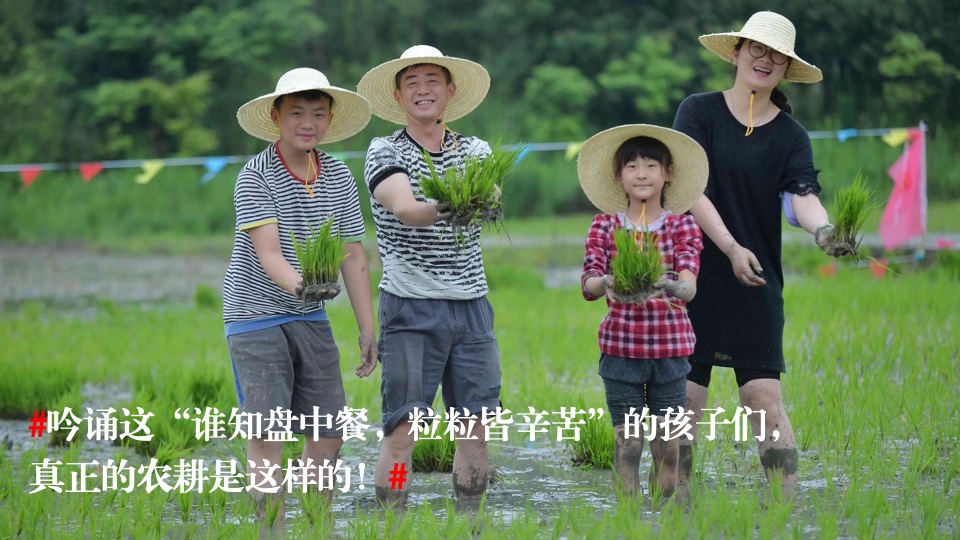 公司亲子休闲团建家庭日（向往的生活主题）活动策划方案