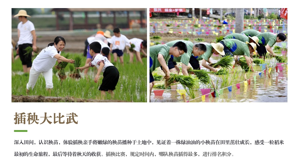 公司亲子休闲团建家庭日（向往的生活主题）活动策划方案