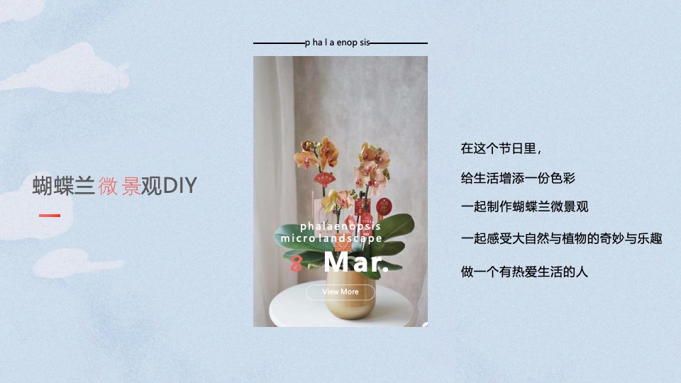 企业公司3·8女神节系列（丽致·她闪耀主题）活动策划方案