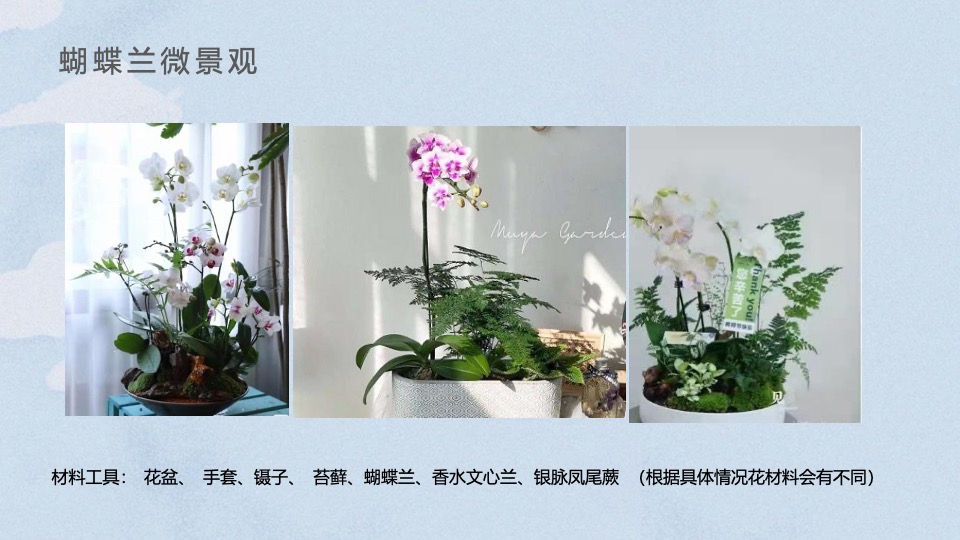 企业公司3·8女神节系列（丽致·她闪耀主题）活动策划方案
