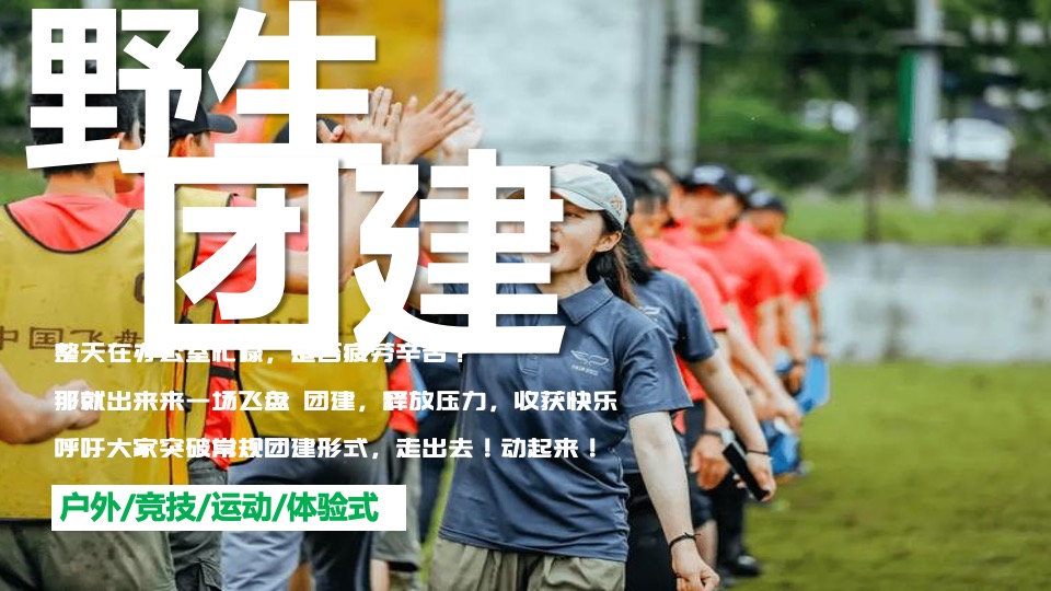 企业飞盘主题团建（潮新青年极限城市计划主题）活动策划方案