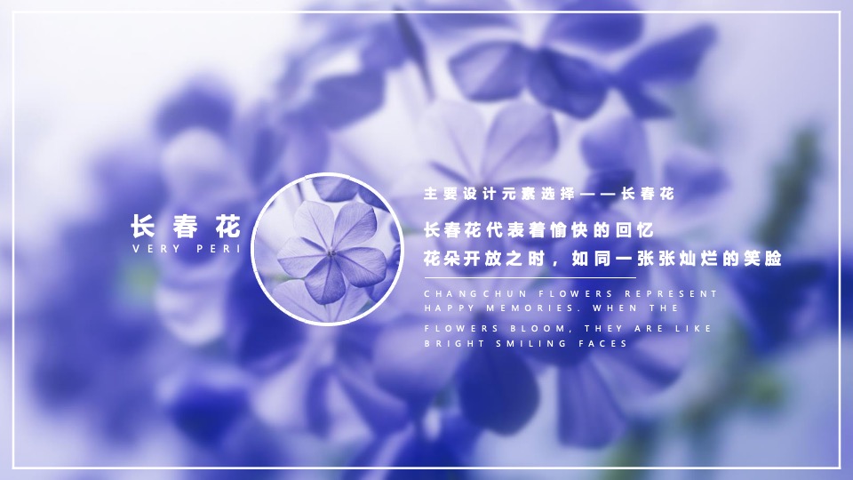 商业广场都市露营市集（紫有好市主题）活动策划方案