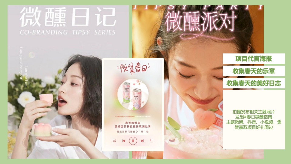 地产项目4月春日樱花微醺音乐节主题活动策划案