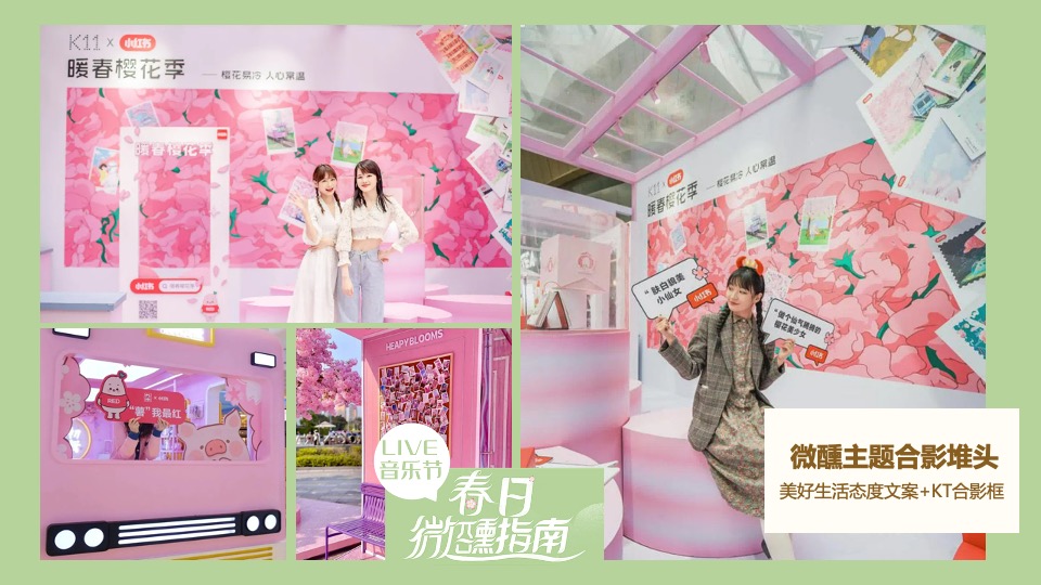 地产项目4月春日樱花微醺音乐节主题活动策划案