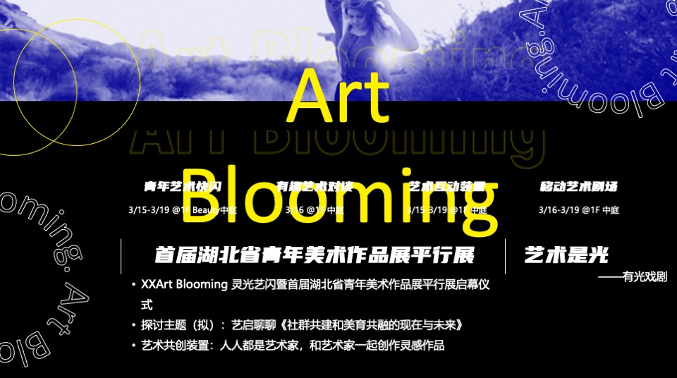 首届湖北省青年美术作品展特别活动方案