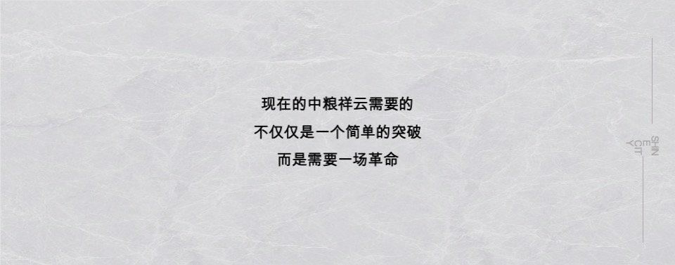 中粮·祥云推广策略提报 #济南#