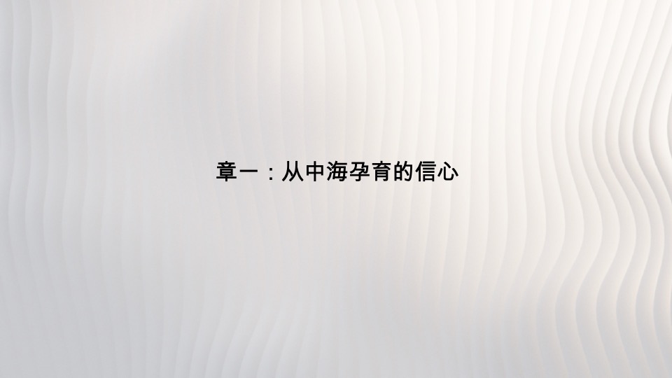 中海汇德里年度推广策略提报