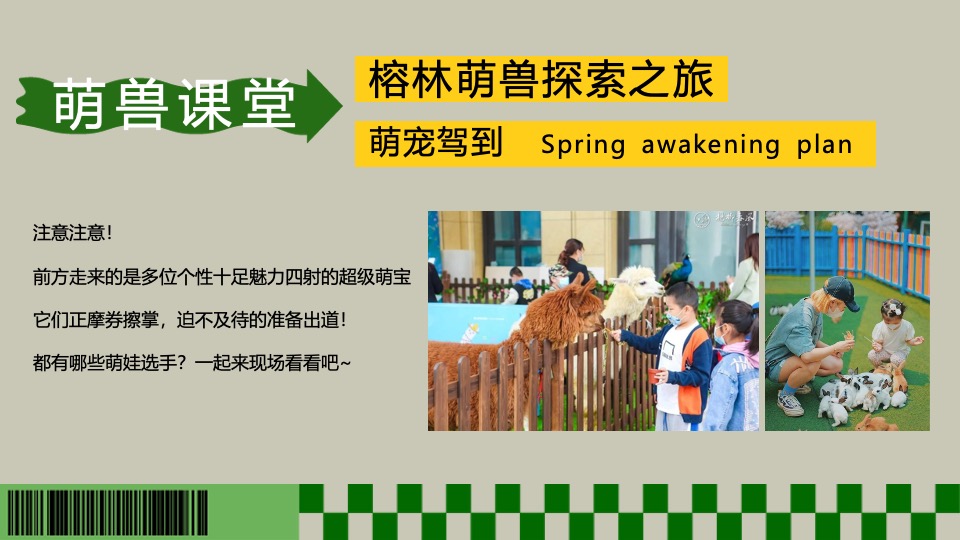 商场地产春季露营萌宠音乐市集（春日唤醒计划主题）活动策划方案