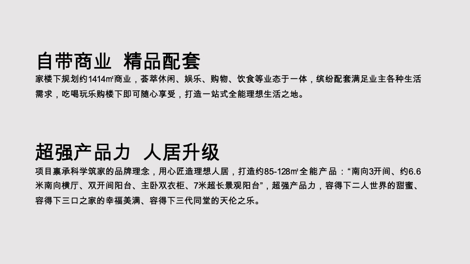 金地启城全案推广策略案