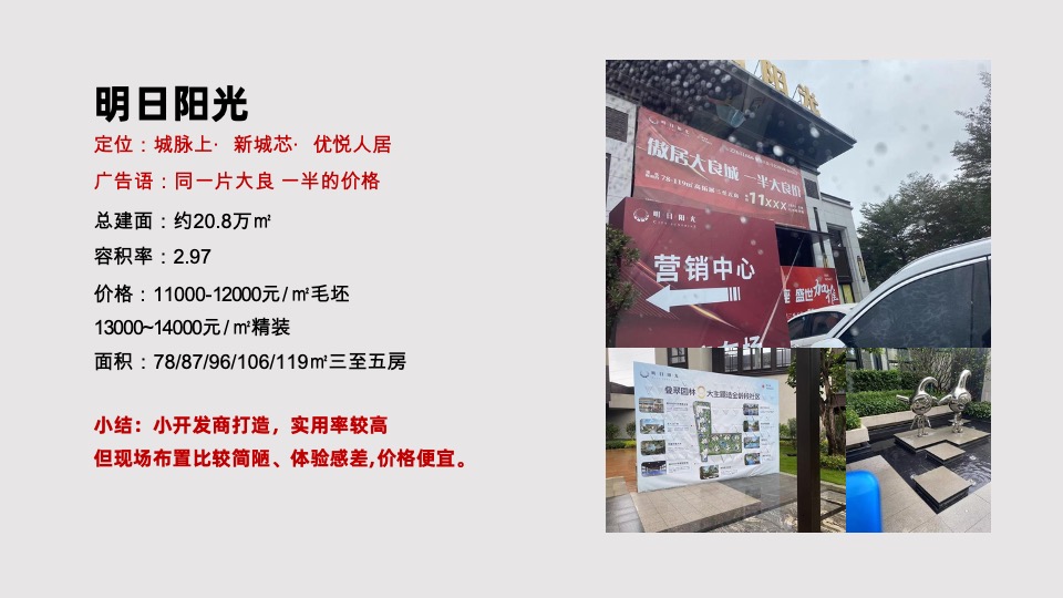 金地启城全案推广策略案