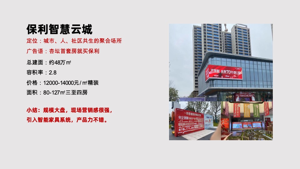 金地启城全案推广策略案