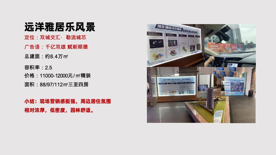 金地启城全案推广策略案