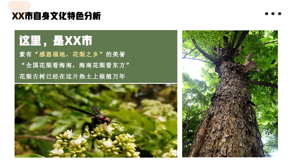 城市首届茶宴露营文化节（梨好东方·你好生活主题）活动策划方案