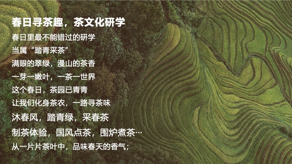 春日踏青茶艺研学（寻春·茶宴主题）活动策划方案