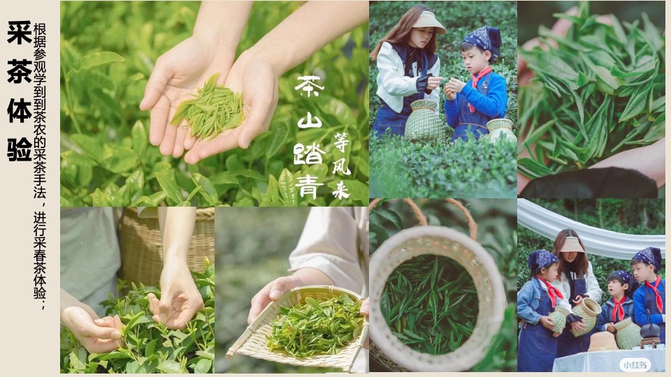 春日踏青茶艺研学（寻春·茶宴主题）活动策划方案