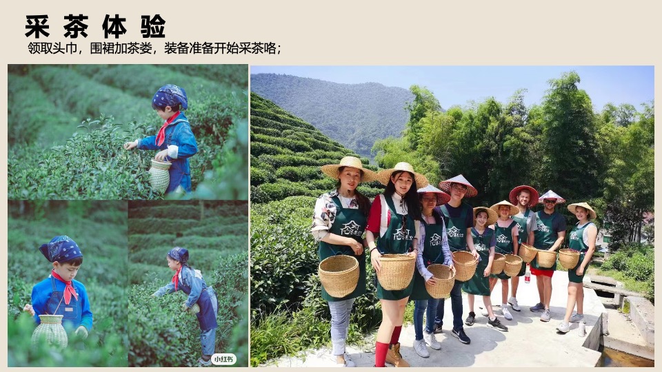 春日踏青茶艺研学（寻春·茶宴主题）活动策划方案