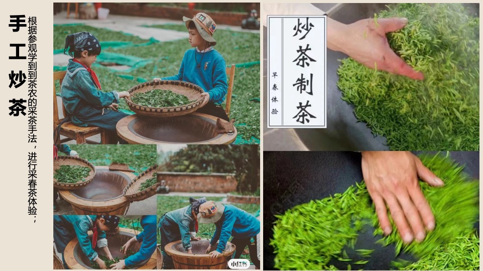 春日踏青茶艺研学（寻春·茶宴主题）活动策划方案