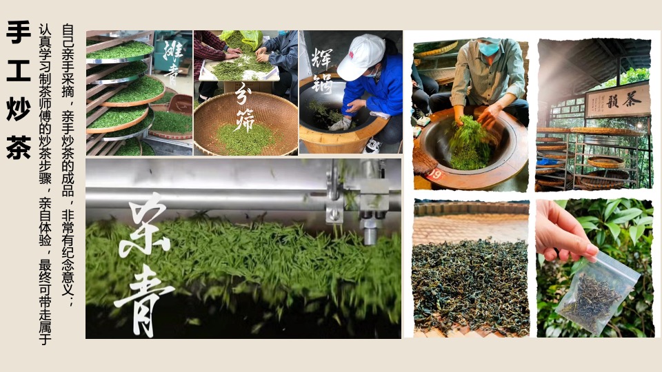 春日踏青茶艺研学（寻春·茶宴主题）活动策划方案