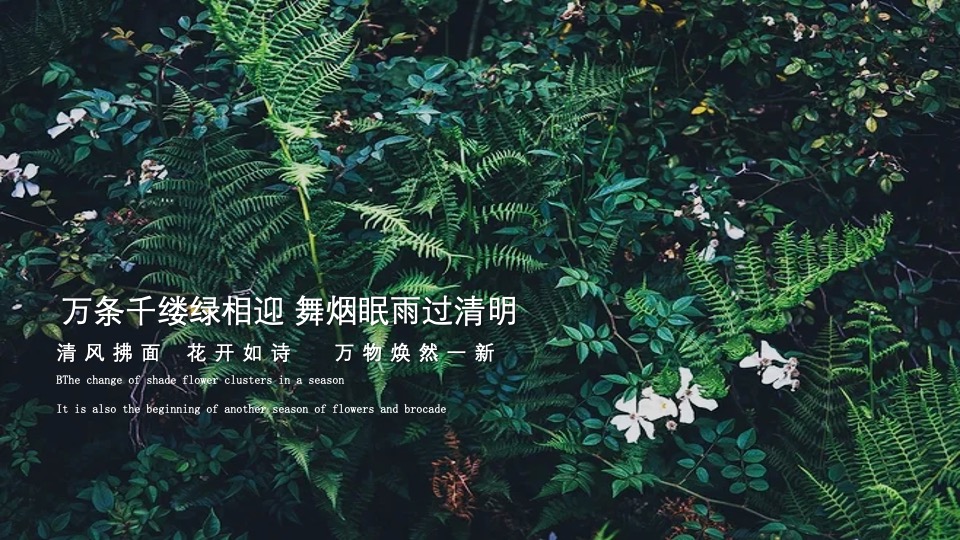 地产项目清明节暖场系列（春雨如烟正清明主题）活动策划方案