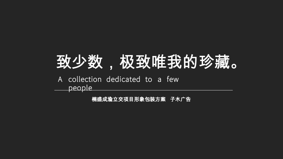 成都顶豪【迎晖C11】推广策略提报