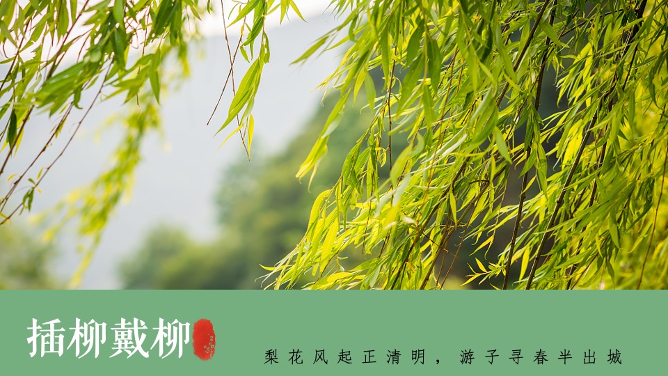 地产项目清明节暖场系列（踏青游记主题）活动策划方案