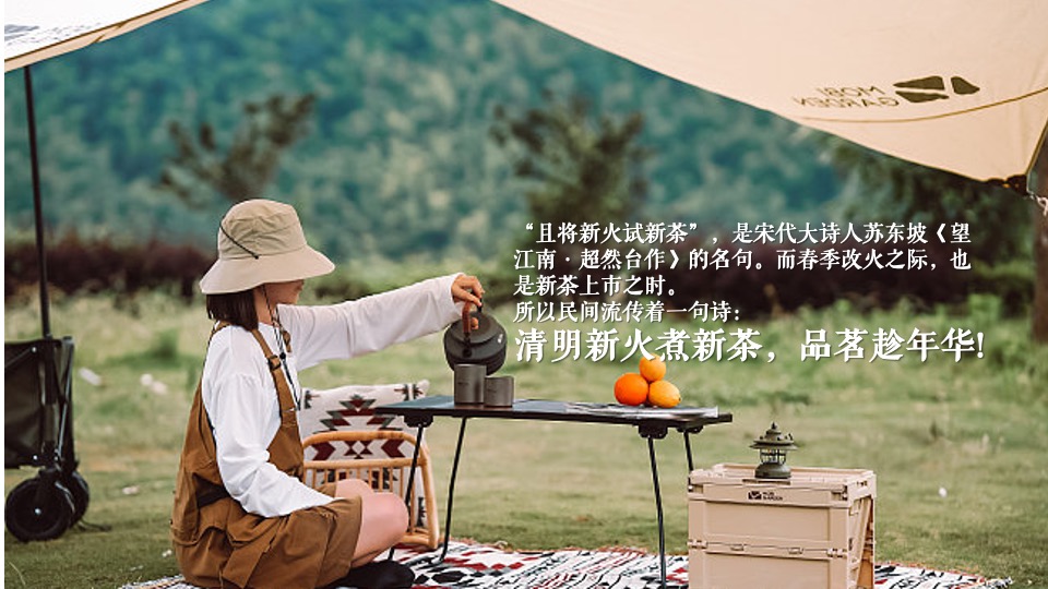 地产项目清明节圈层系列（寻春.赏茶雅集主题）活动策划方案