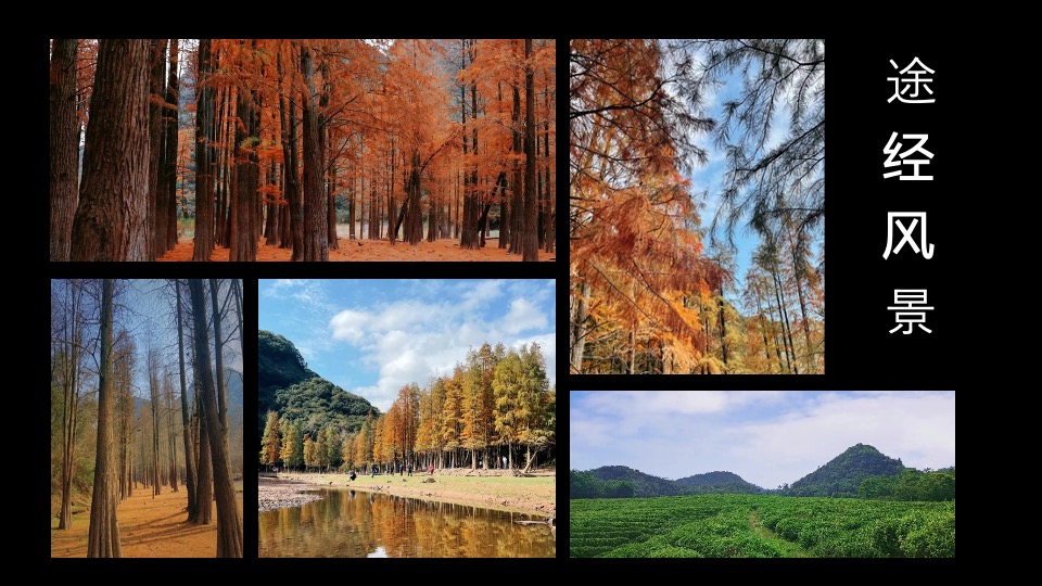 企业公司春季徒步健走（城市逃离计划主题）活动策划方案