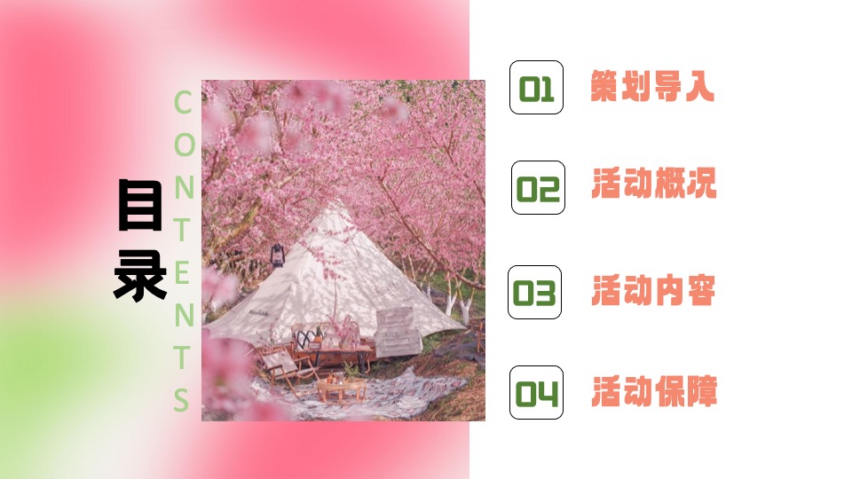 地产项目首届桃花文化节（醒春计划·桃你欢心主题）活动策划方案