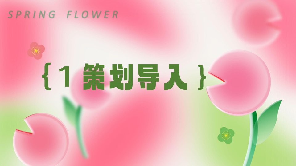 地产项目首届桃花文化节（醒春计划·桃你欢心主题）活动策划方案