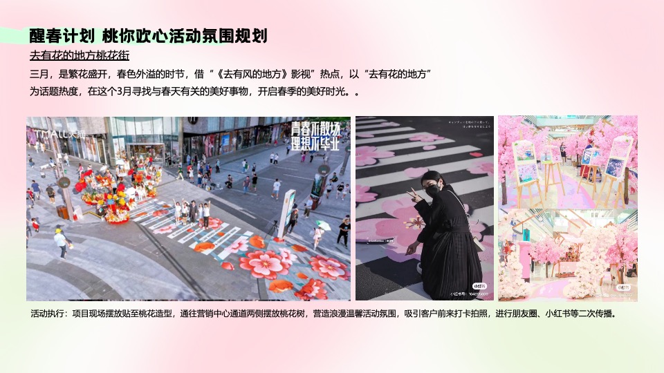 地产项目首届桃花文化节（醒春计划·桃你欢心主题）活动策划方案