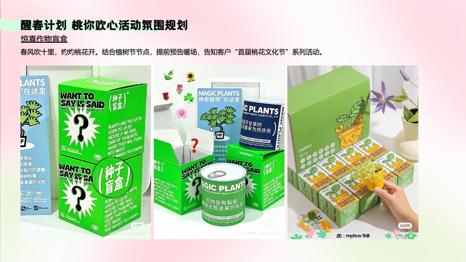 地产项目首届桃花文化节（醒春计划·桃你欢心主题）活动策划方案