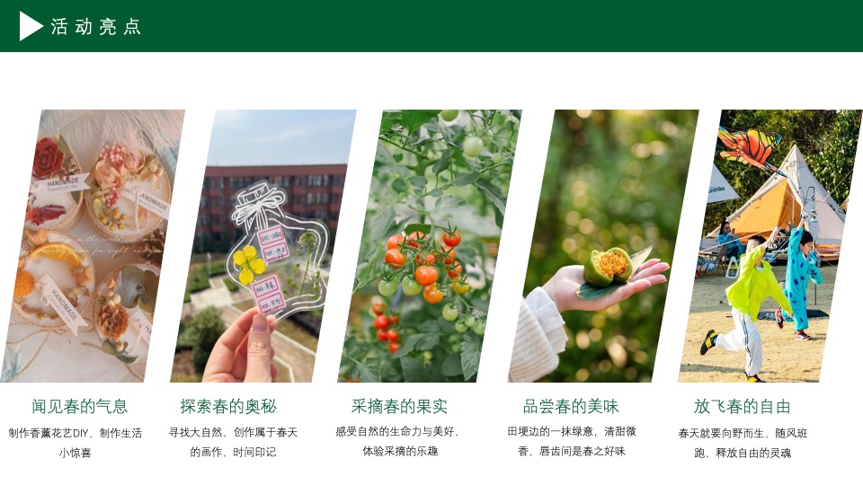 文旅庄园春日踏青（踏春·趣山野主题）活动策划方案