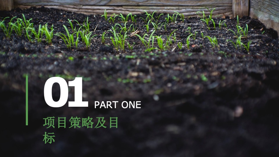 金寨县·铁冲乡美丽乡村建设品牌整合服务方案