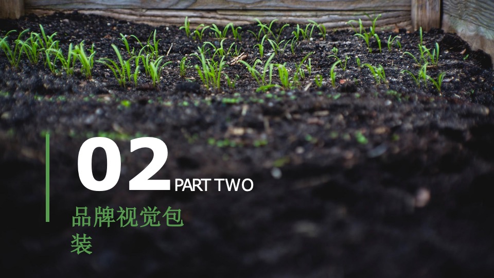 金寨县·铁冲乡美丽乡村建设品牌整合服务方案