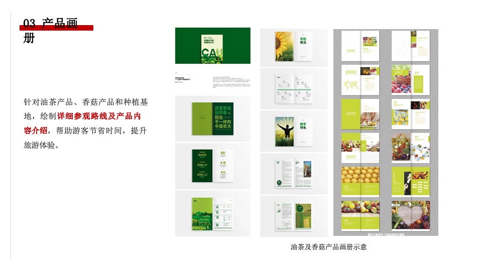 金寨县·铁冲乡美丽乡村建设品牌整合服务方案