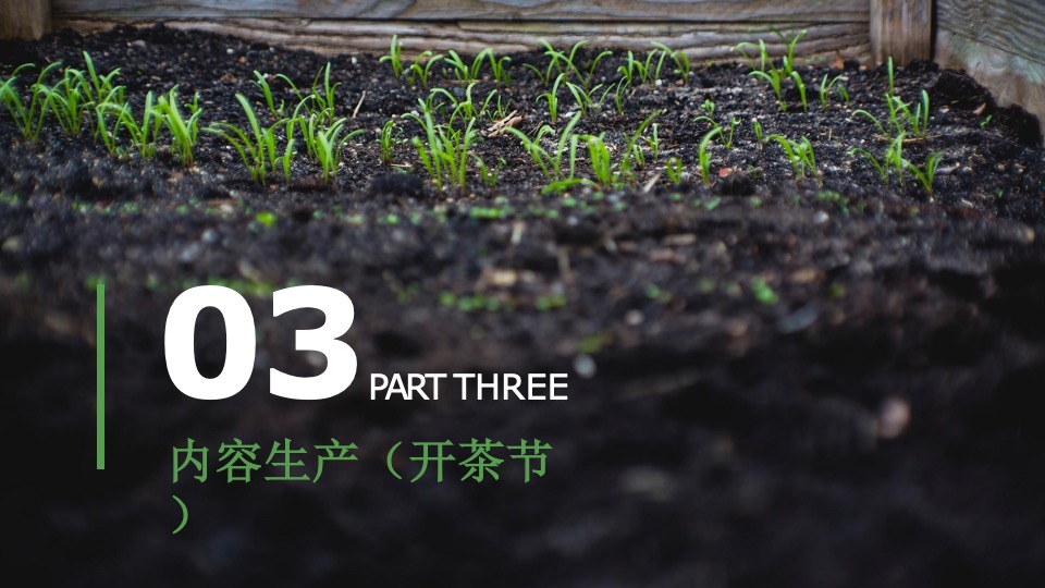 金寨县·铁冲乡美丽乡村建设品牌整合服务方案