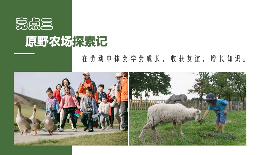 五一农场研学露营田野劳动农耕（向往的生活主题）活动策划方案