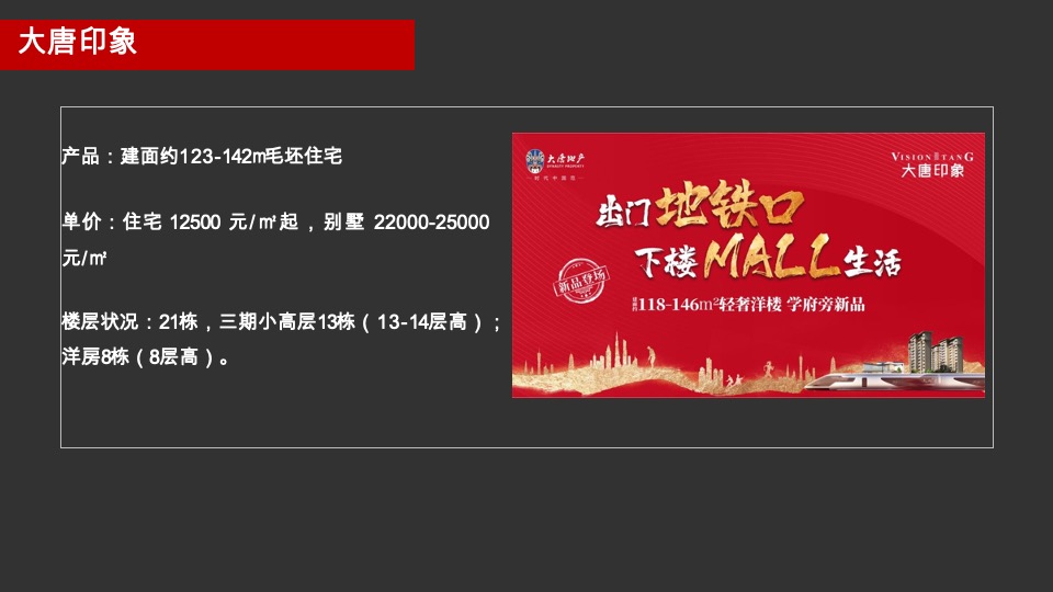 钱隆大第推广策略提报#长沙#