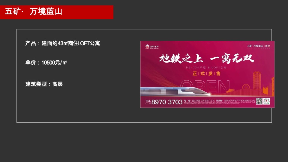 钱隆大第推广策略提报#长沙#